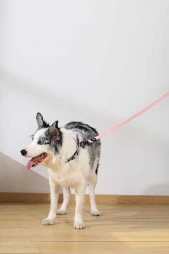 M-pets Gentle Dog Leash L Pink