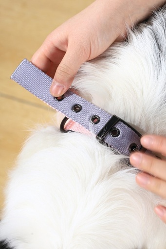 M-pets Gentle Dog Padded Collar L Pink