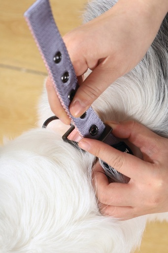 M-pets Gentle Dog Padded Collar L Pink