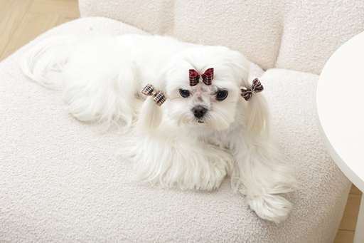 M-pets Glam Hair Accessories For Pets Rubber Band Red