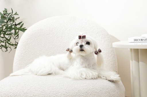 M-pets Glam Hair Accessories For Pets Rubber Band Red