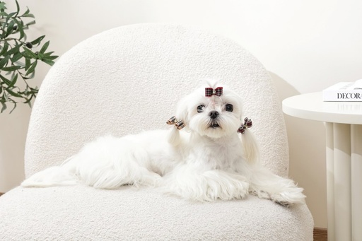 M-pets Glam Hair Accessories For Pets Rubber Band Red