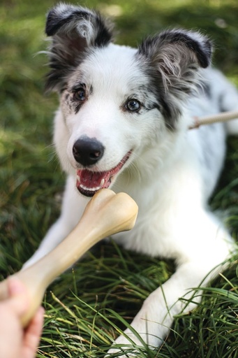 M-pets Greenbo Natural Rubber Bones - L