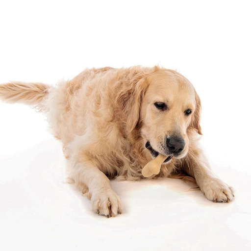M-pets Greenbo Natural Rubber Bones - L
