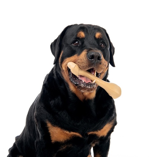 M-pets Greenbo Natural Rubber Bones - L