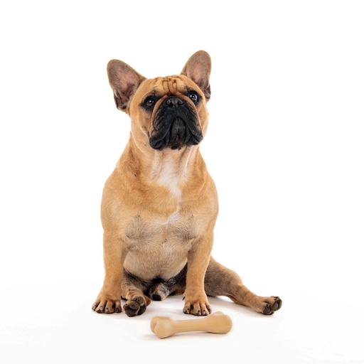 M-pets Greenbo Natural Rubber Bones - S