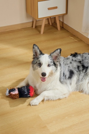 M-Pets Halloween Snack Attack Dog Toy - Cauldron