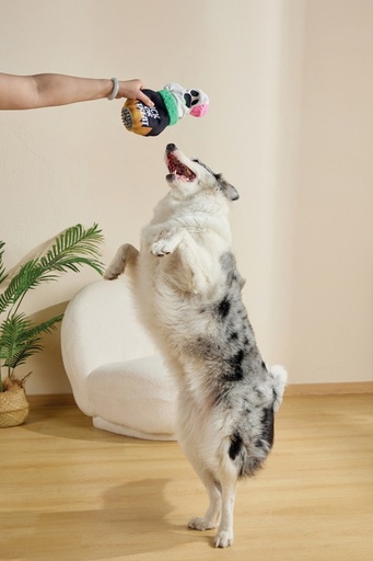 M-Pets Halloween Snack Attack Dog Toy - Ghost