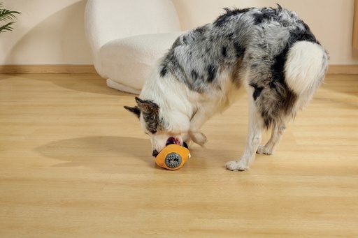 M-Pets Halloween Snack Attack Dog Toy - Pumpkin