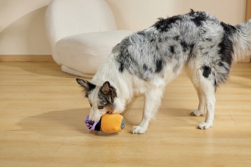 M-Pets Halloween Snack Attack Dog Toy - Pumpkin
