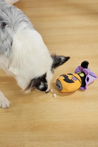 M-Pets Halloween Snack Attack Dog Toy - Pumpkin