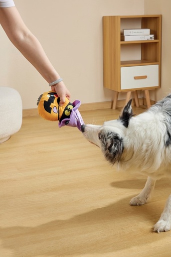M-Pets Halloween Snack Attack Dog Toy - Pumpkin