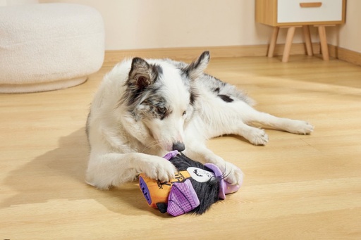 M-Pets Halloween Snack Attack Dog Toy - Witch