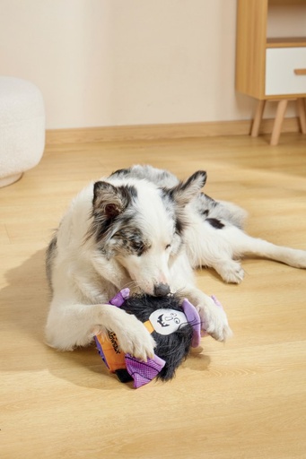 M-Pets Halloween Snack Attack Dog Toy - Witch