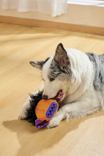 M-Pets Halloween Snack Attack Dog Toy - Witch