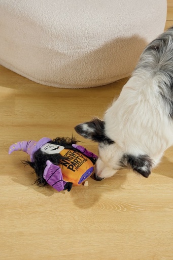 M-Pets Halloween Snack Attack Dog Toy - Witch