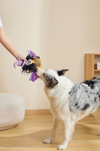 M-Pets Halloween Snack Attack Dog Toy - Witch
