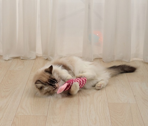 M-pets Herby Catnip Toy 1