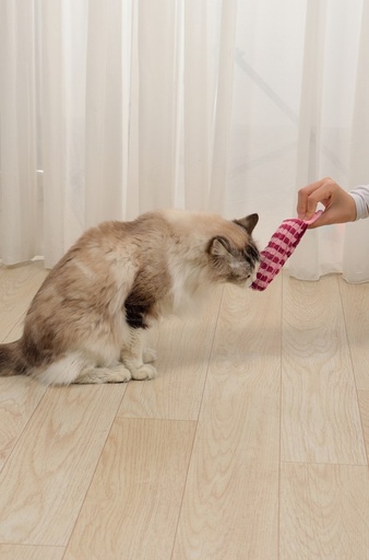 M-pets Herby Catnip Toy 1