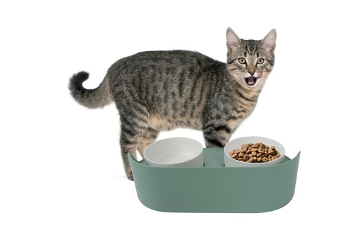 M-pets Altitude Double Raised Pet Bowl