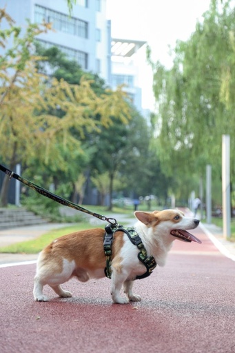 M-pets Hiking Harness - M / Camouflage