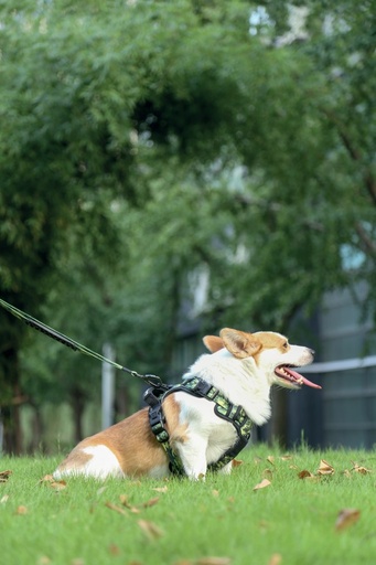M-pets Hiking Harness - M / Camouflage