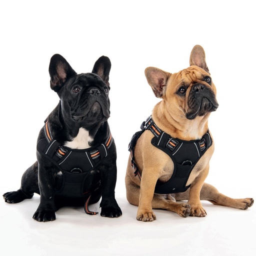 M-pets Hiking Harness - M / Orange