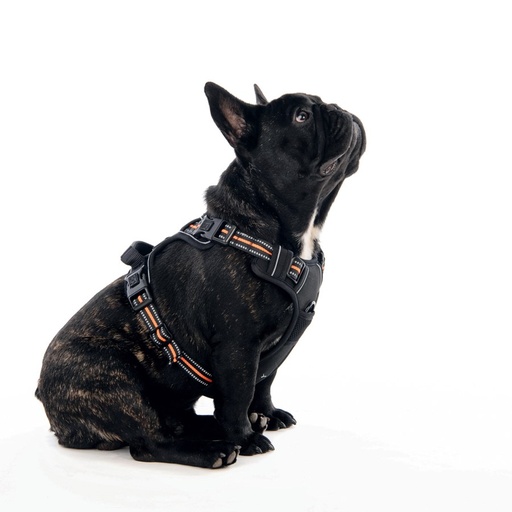M-pets Hiking Harness - M / Orange