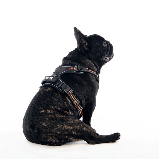 M-pets Hiking Harness - M / Orange