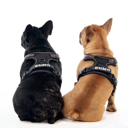 M-pets Hiking Harness - M / Orange