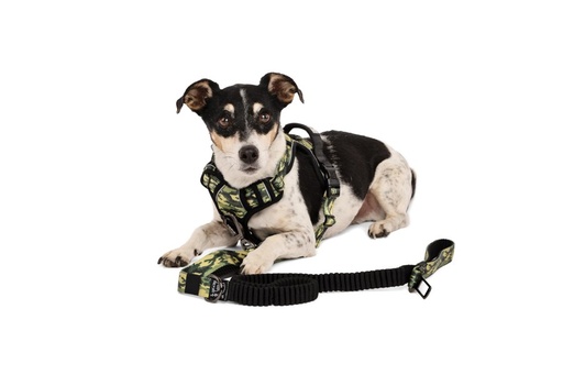 M-pets Hiking Harness - S / Camouflage
