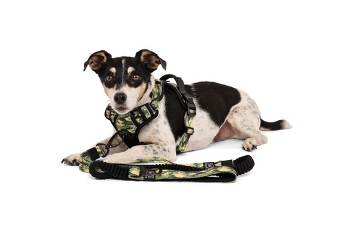 M-pets Hiking Harness - S / Camouflage