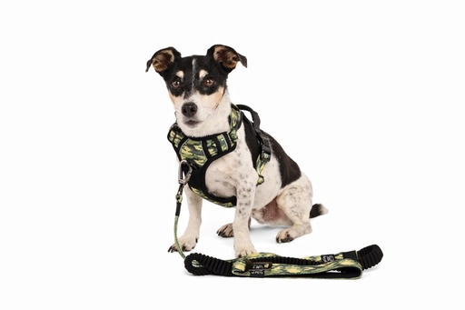 M-pets Hiking Harness - S / Camouflage