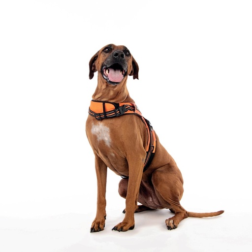 M-pets Hiking Triangle Harness - Xl / Orange