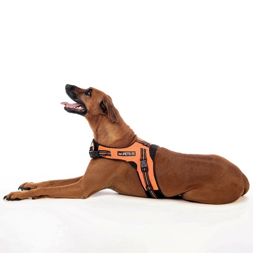M-pets Hiking Triangle Harness - Xl / Orange