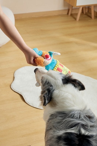 M-pets Joyful Snack Attack Dog Toy - Circus
