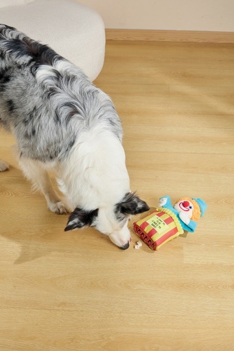 M-pets Joyful Snack Attack Dog Toy - Circus