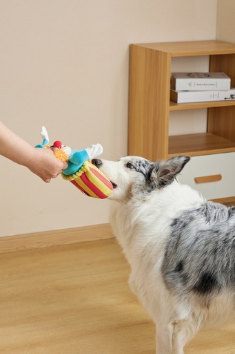 M-pets Joyful Snack Attack Dog Toy - Circus