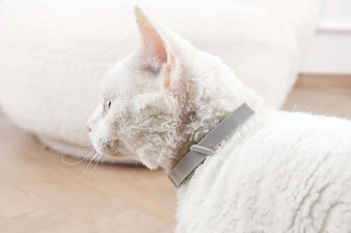 M-pets Keep Calm - Calming Pheromone Collar For Cats 1pc