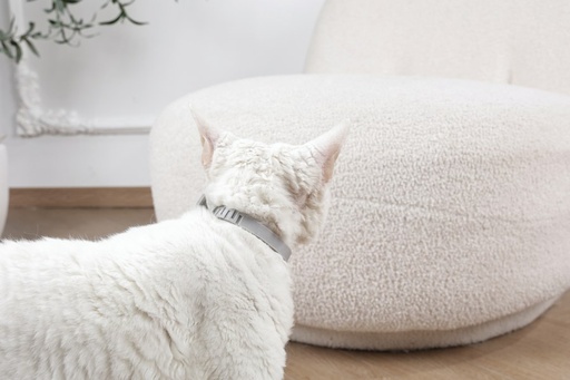 M-pets Keep Calm - Calming Pheromone Collar For Cats 1pc