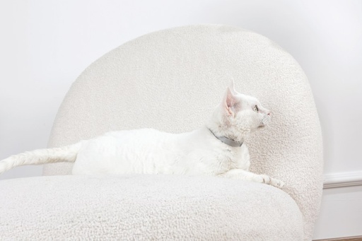 M-pets Keep Calm - Calming Pheromone Collar For Cats 1pc