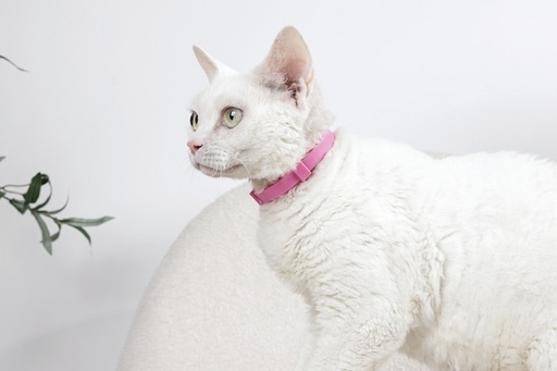 M-pets Keep Calm - Calming Pheromone Collar Set For Cats 4 Pcs
