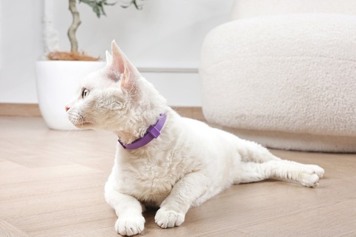M-pets Keep Calm - Calming Pheromone Collar Set For Cats 4 Pcs