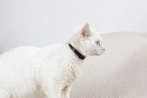 M-pets Keep Calm - Calming Pheromone Collar Set For Cats 4 Pcs