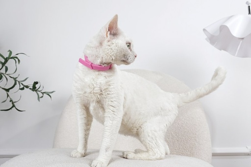 M-pets Keep Calm - Calming Pheromone Collar Set For Cats 4 Pcs