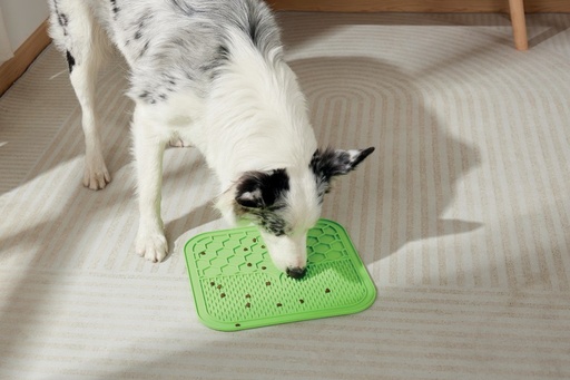 M-pets Lecca Mat Green L