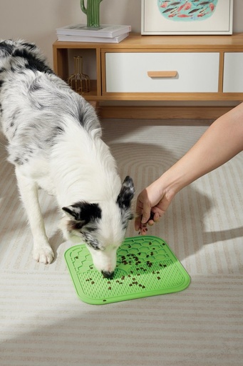 M-pets Lecca Mat Green L