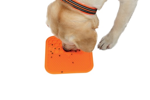 M-pets Lecca Mat Orange M