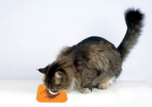 M-pets Lecca Mat Orange M