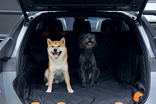 M-pets Lungo Convertible Car Seat Cover